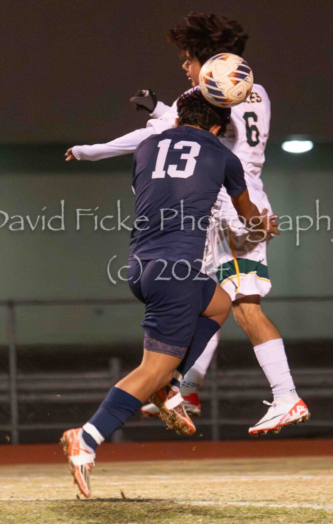 Two soccer players fighting for the ball.
